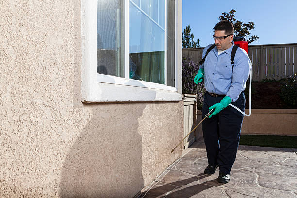 Best Cockroach Control  in Gregory, SD